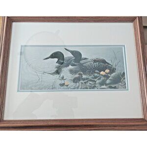 Framed & Matted  Michael Dumas Art Print "Bright Water" Loons and Chicks 21 x 17